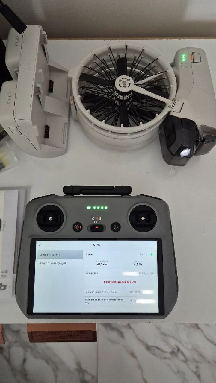 Drone DJI Flip fly more