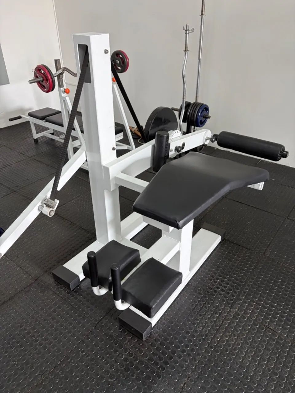 Mesa flexora Gervasport