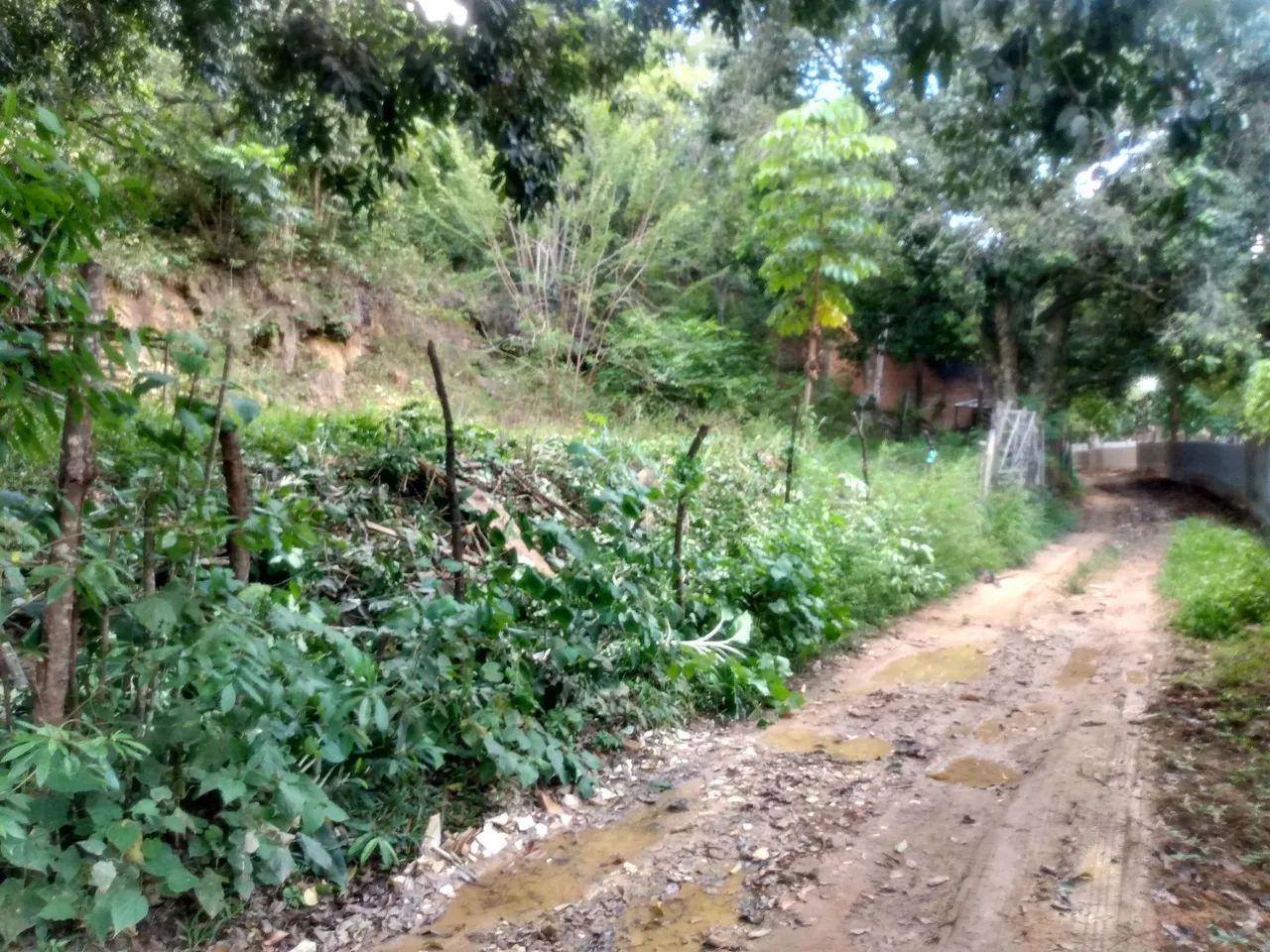Terreno para sitio, chacara no precinho 