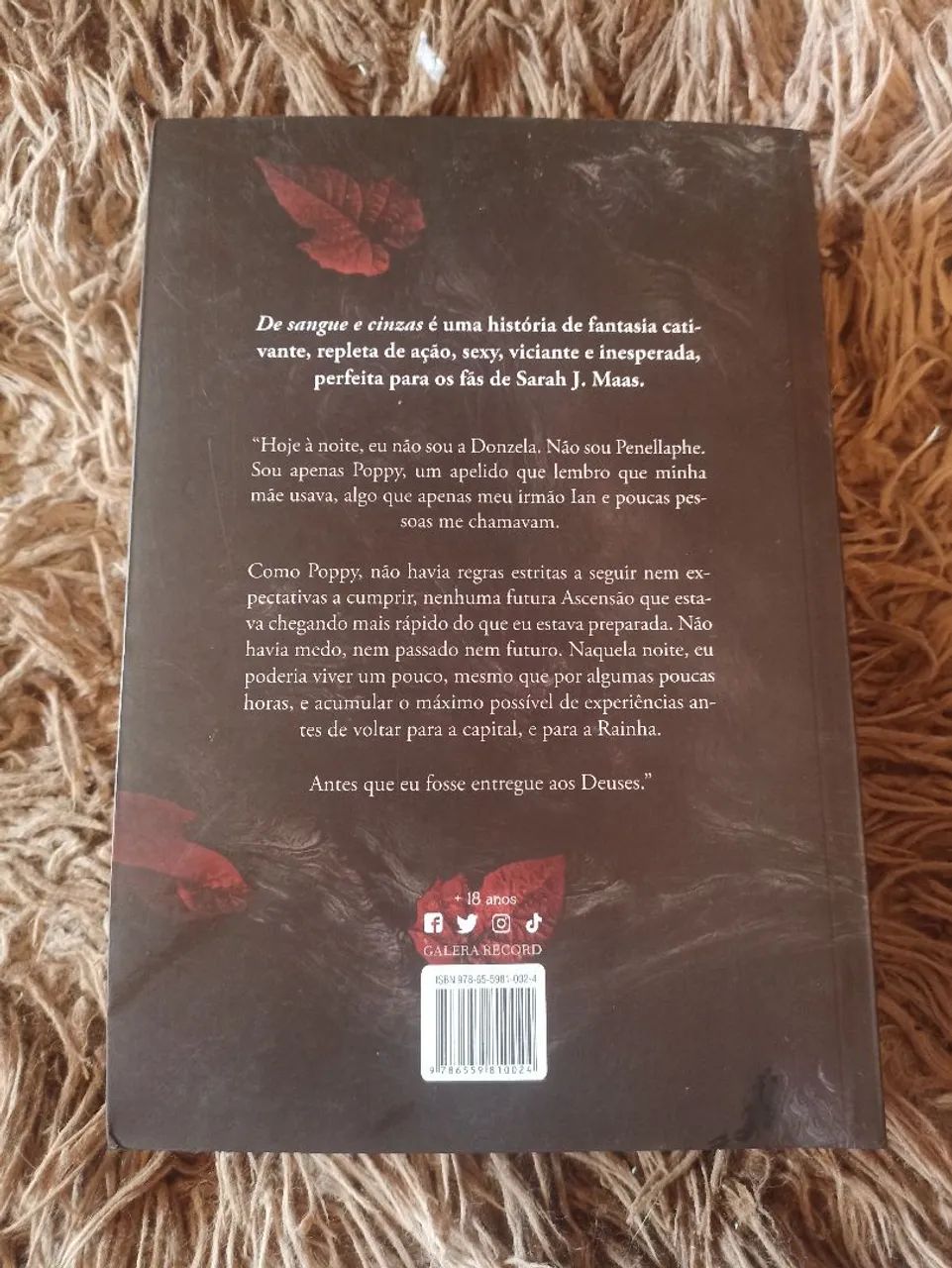 Livro De Sangue e Cinzas - Foto 2