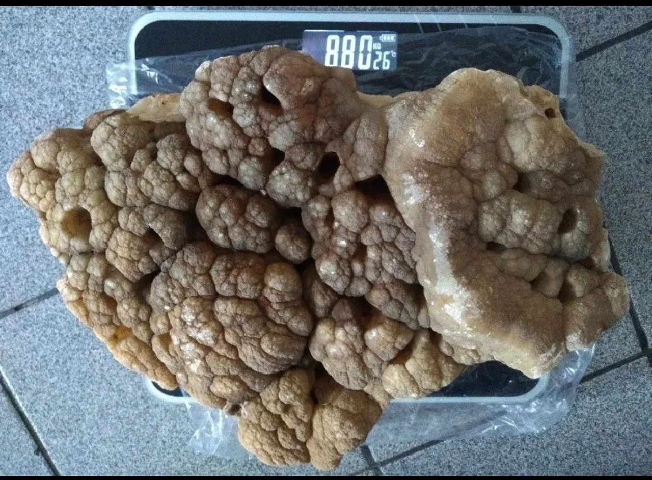  Ônix Poroso (mármore-ônix) Com 8.800g E 30cm - Foto 3