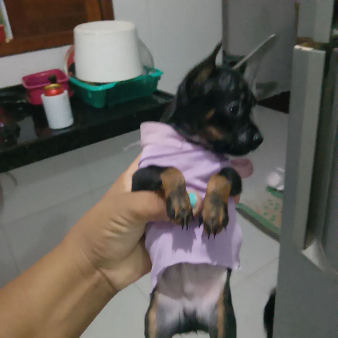 Vender 