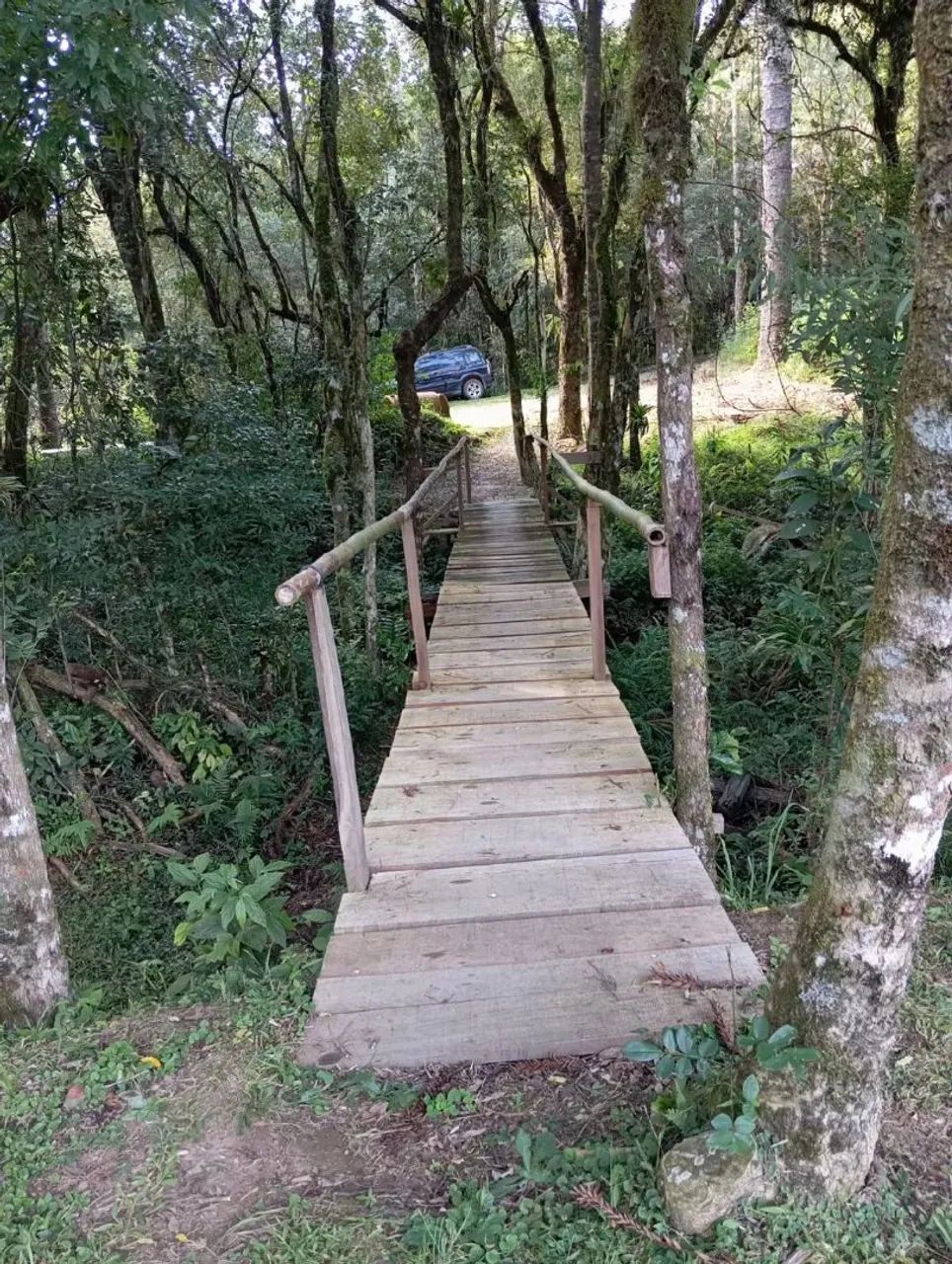 Oportunidade  - Foto 5