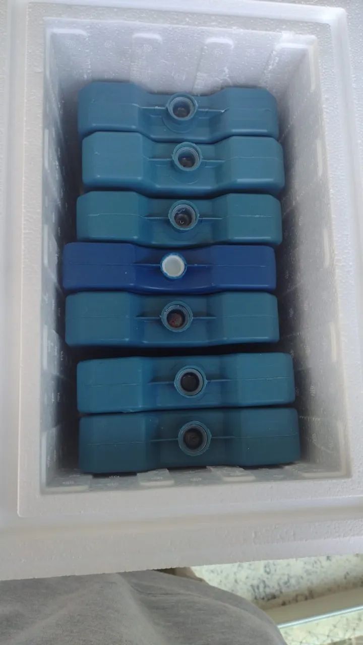 Gelo Reciclável + Isopor