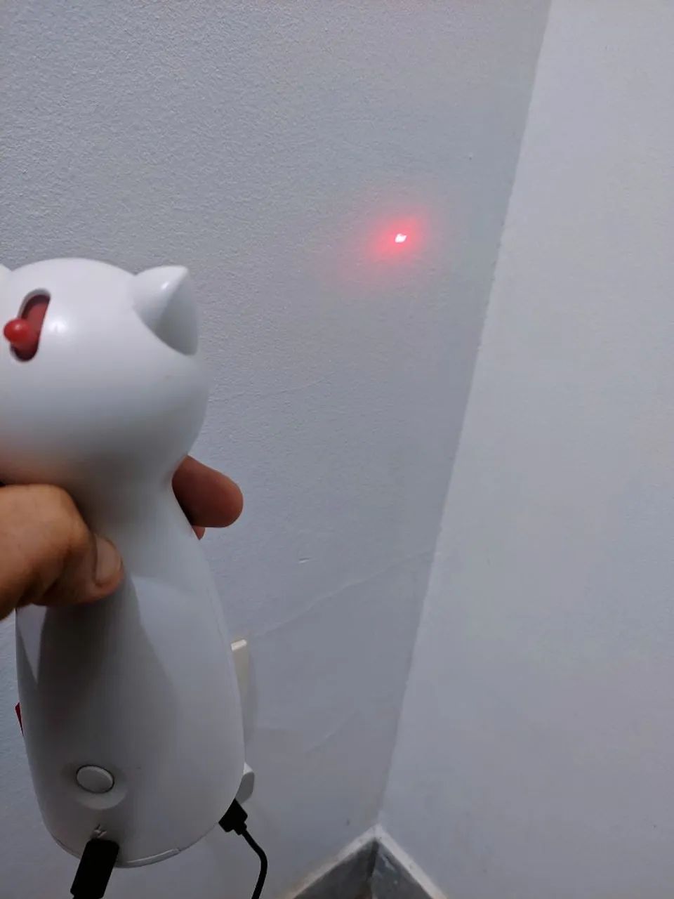 Pets toys