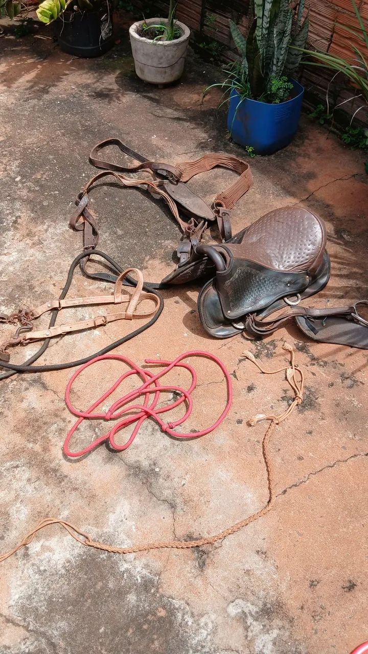 Vende-se cela completa só pegar e andar! - Foto 3