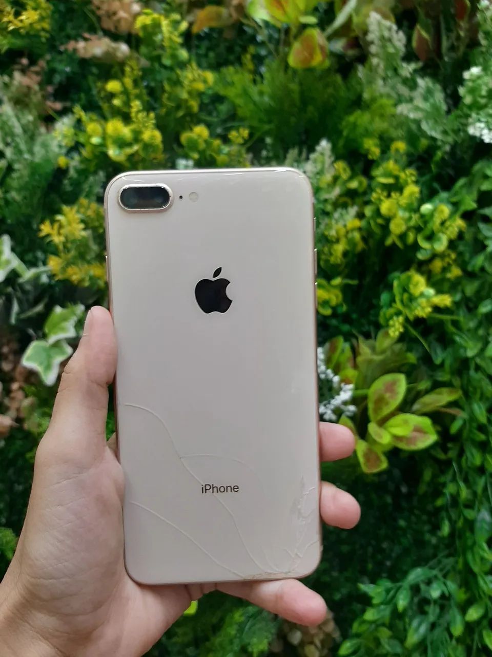 8 Plus  - Foto 3