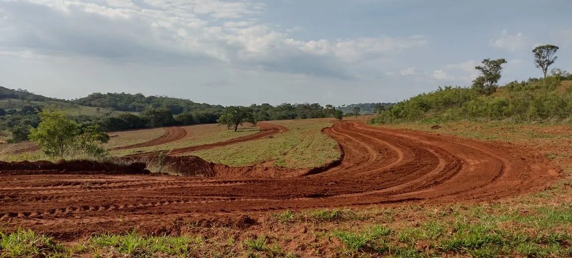 Fazenda dupla aptidão município de Coromandel  - Foto 2