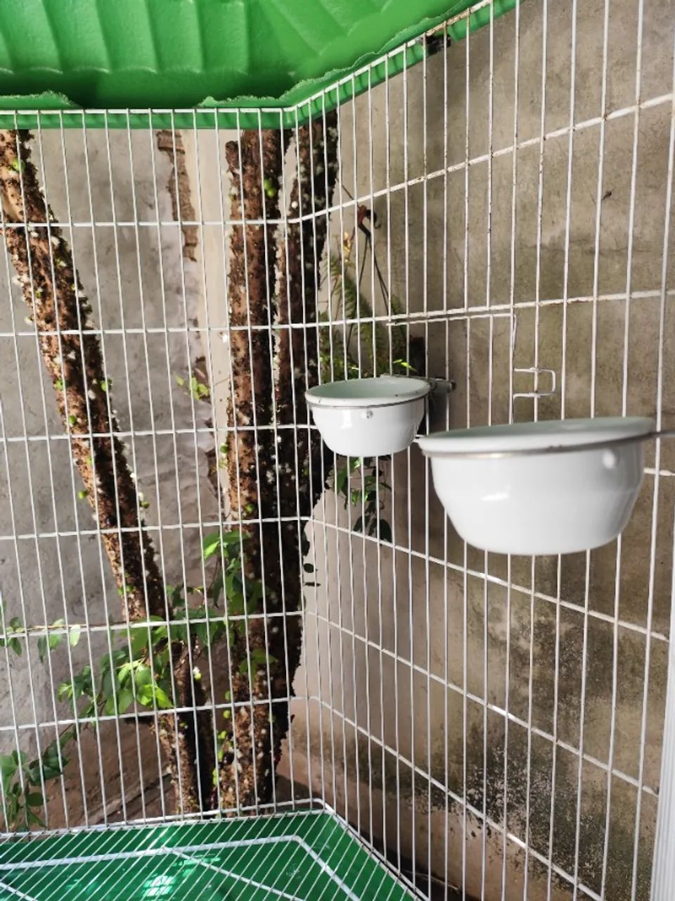 Viveiro gigante  - Foto 5