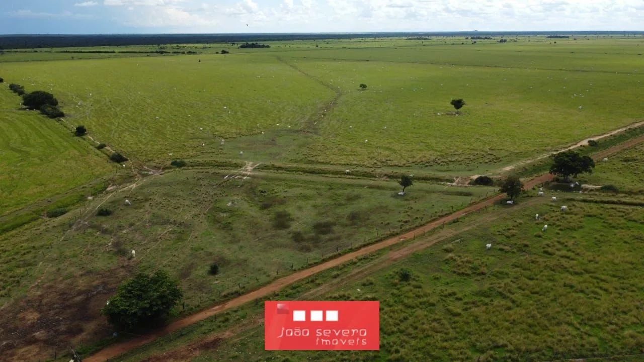 Fazenda para Venda em Sandolândia - Foto 4