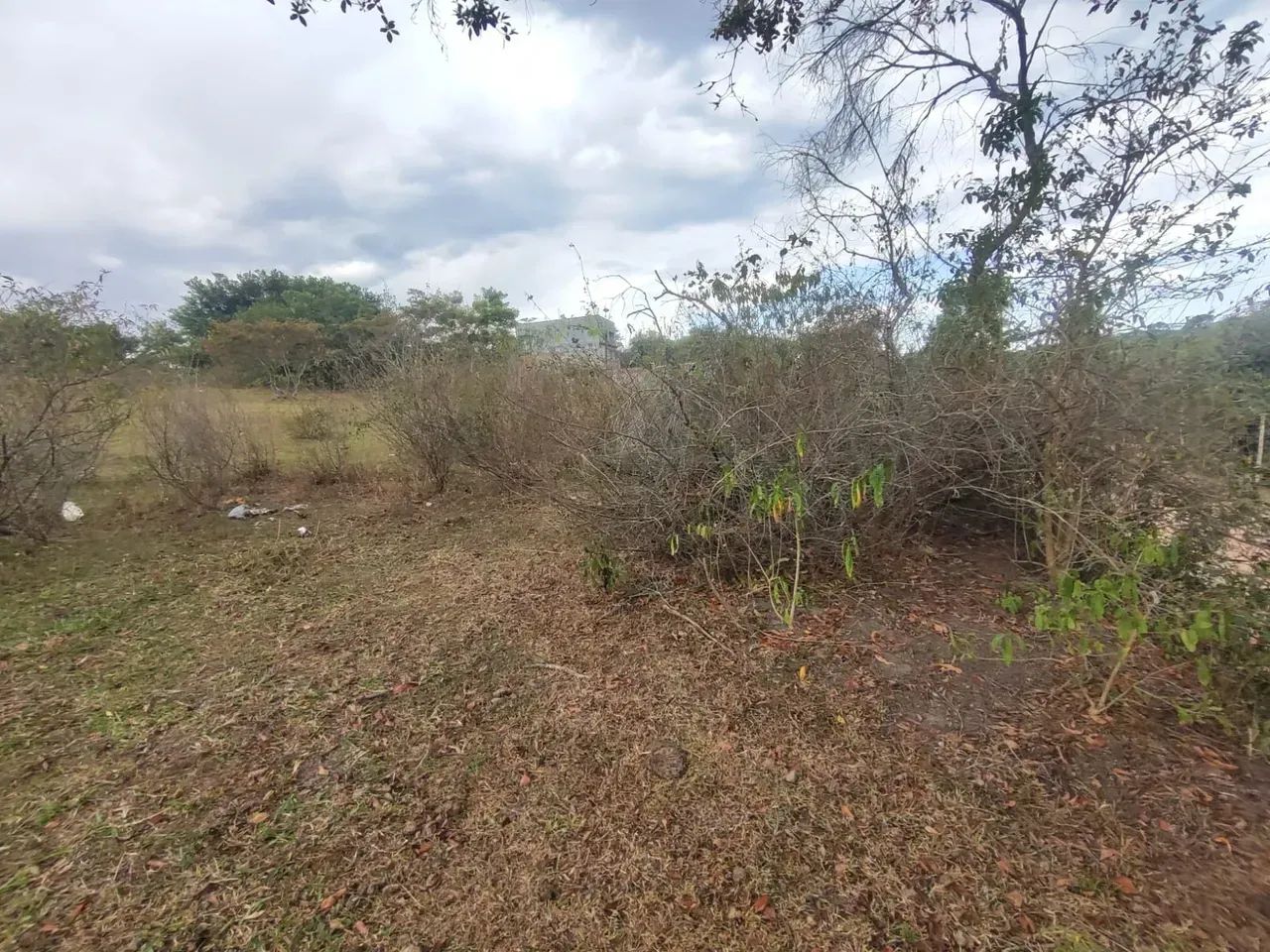 Chacara dentro de Macae oportunidade unica - Foto 4
