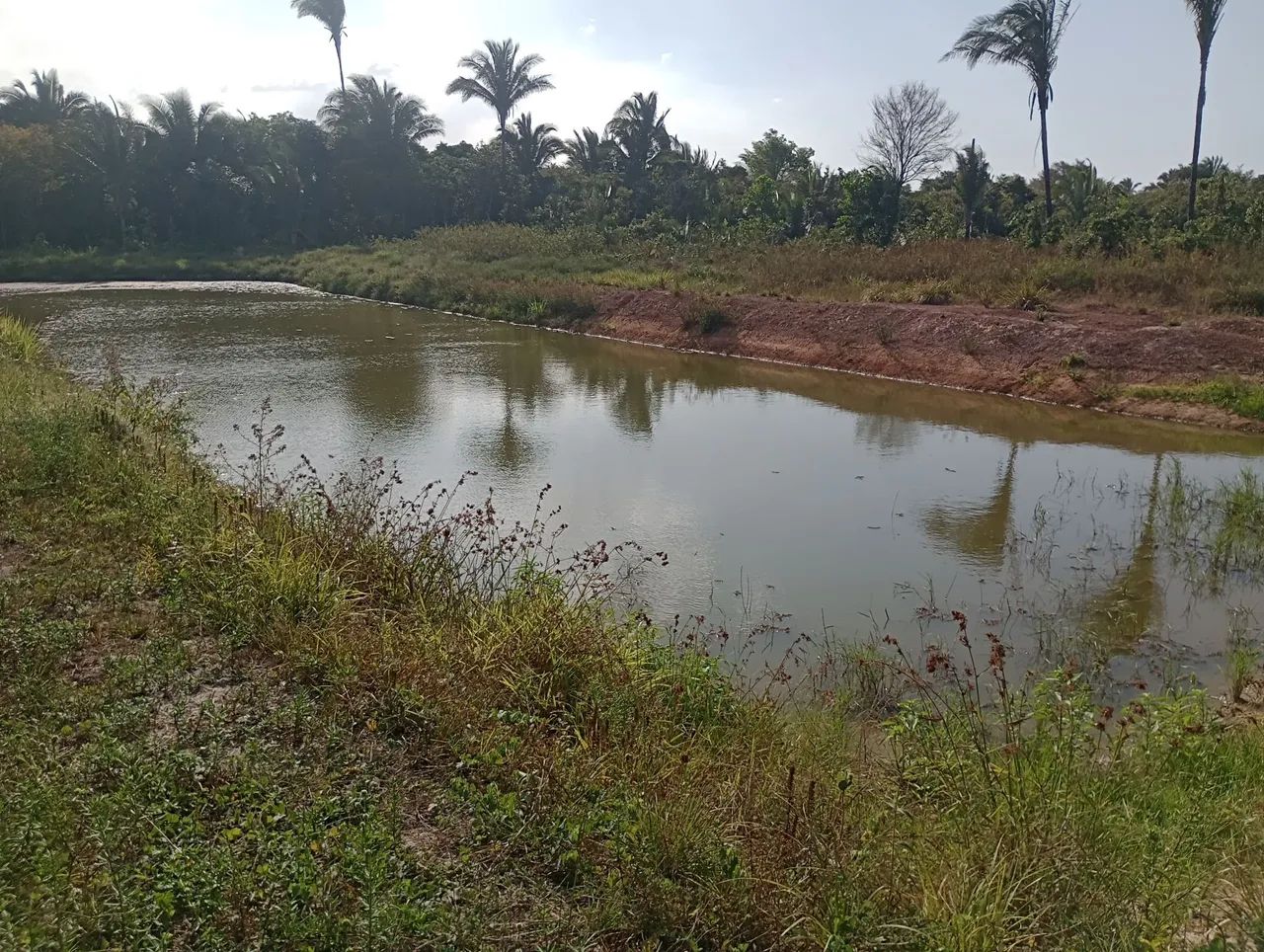 Vendo um terreno/sítio em Bacabeira - Foto 5