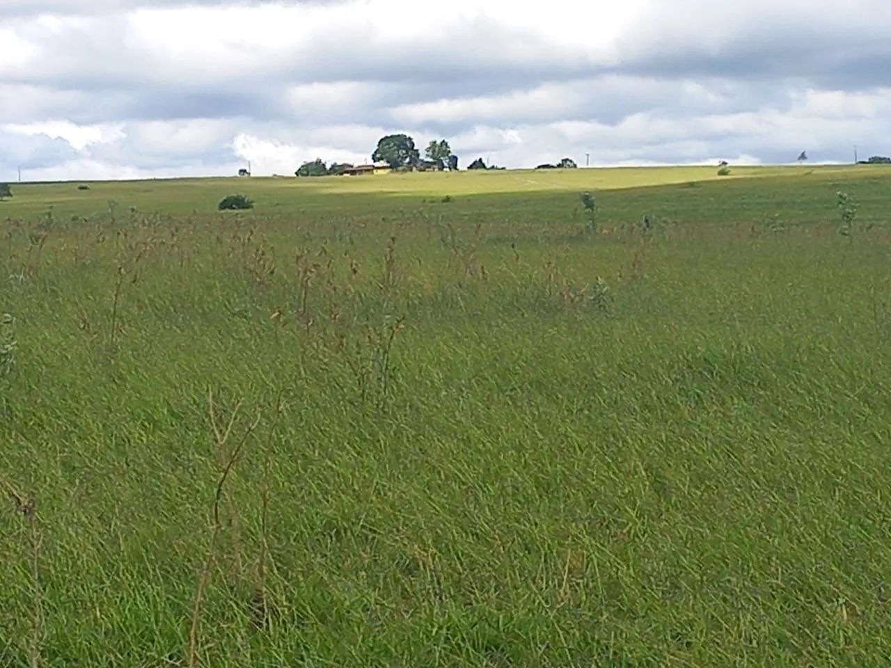 Fazenda em Morro de Chapéu 