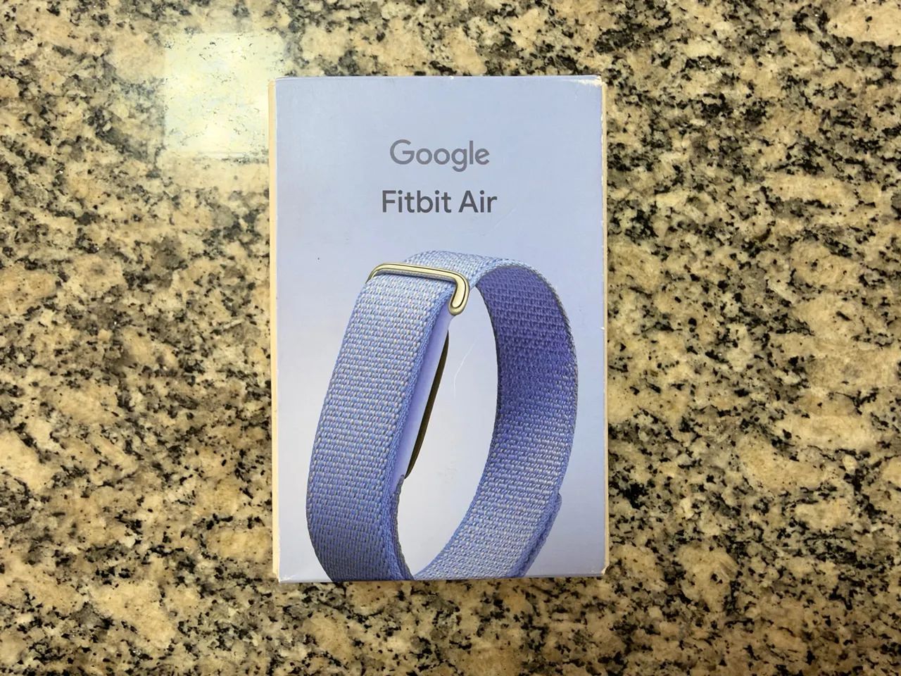 Google Fitbit Air