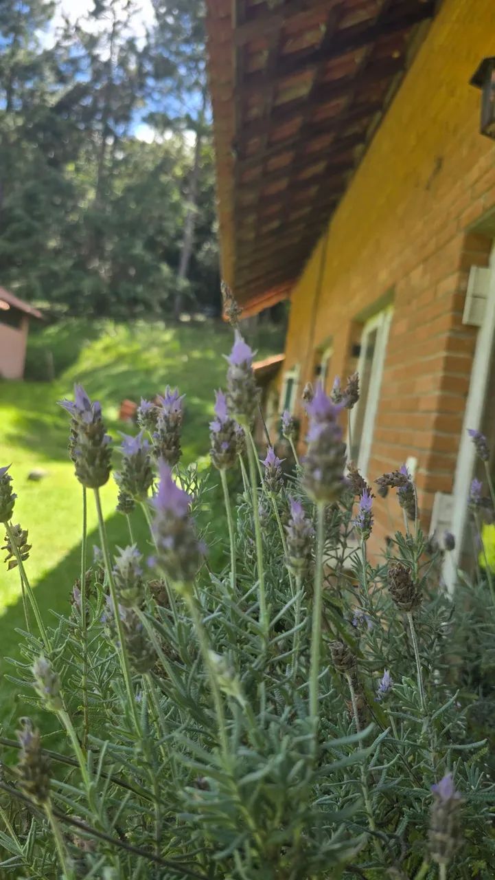 Sitio escantador - Foto 3