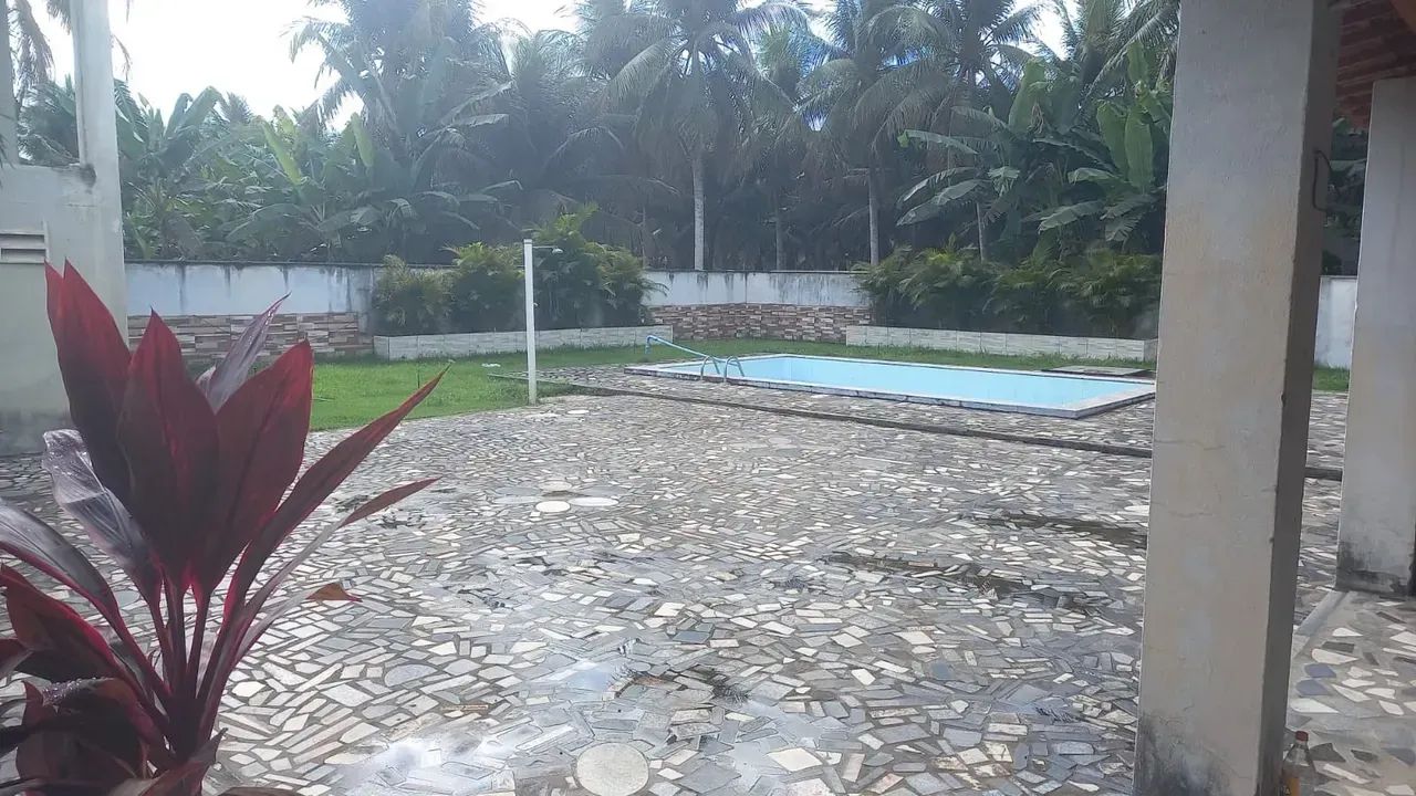 Fazenda de Coco Verde - Arena / RN - Foto 3