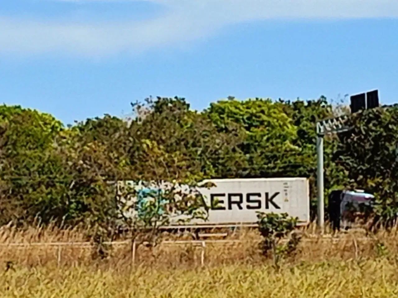 VENDO FAZENDA EM JANGADA - Foto 4