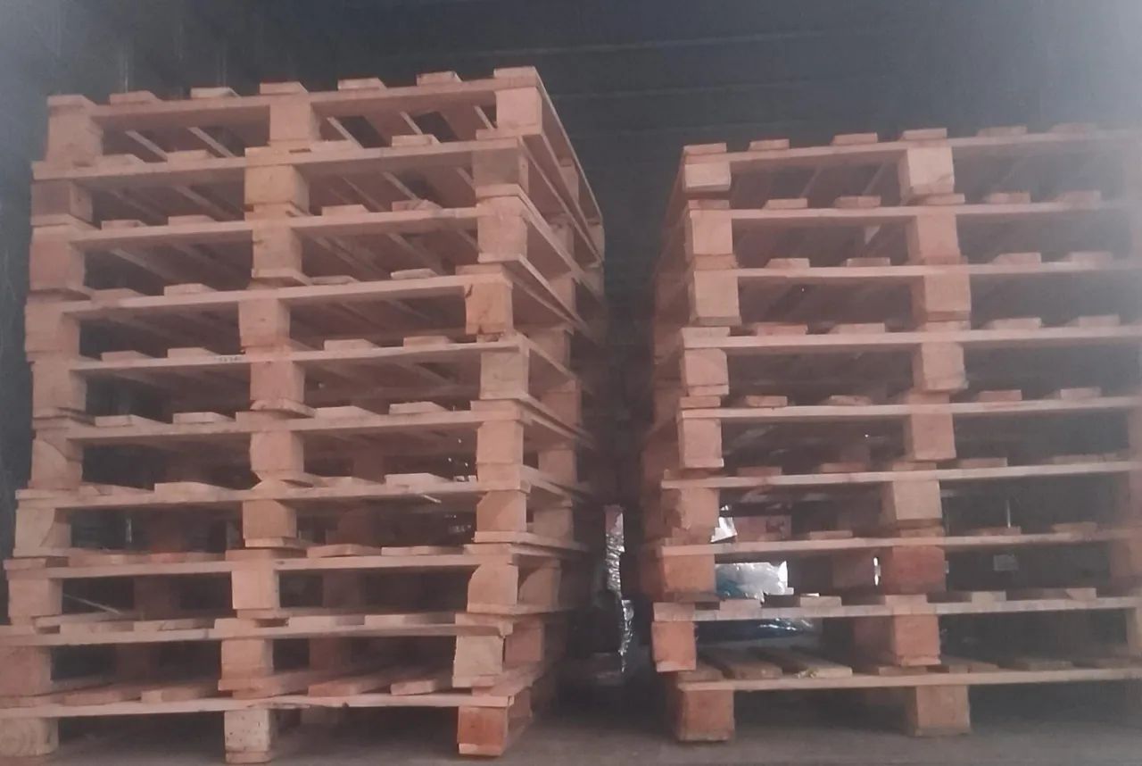 Pallet / eucstex e madeites  - Foto 5