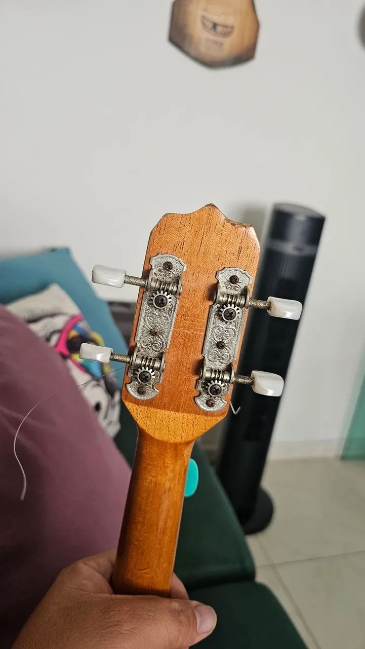 Banjo Rozini - Foto 5