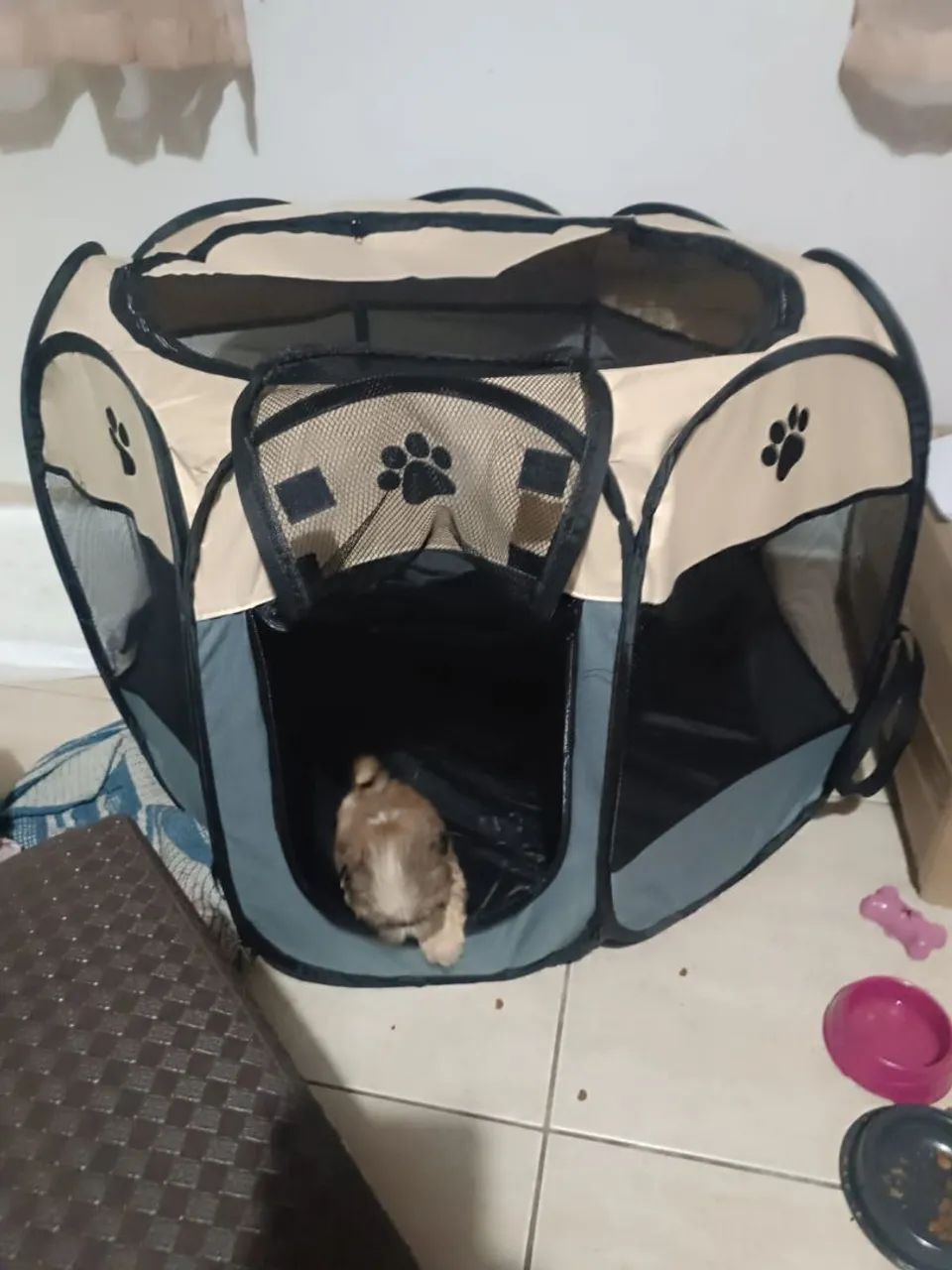 Canteiro Pet  - Foto 3