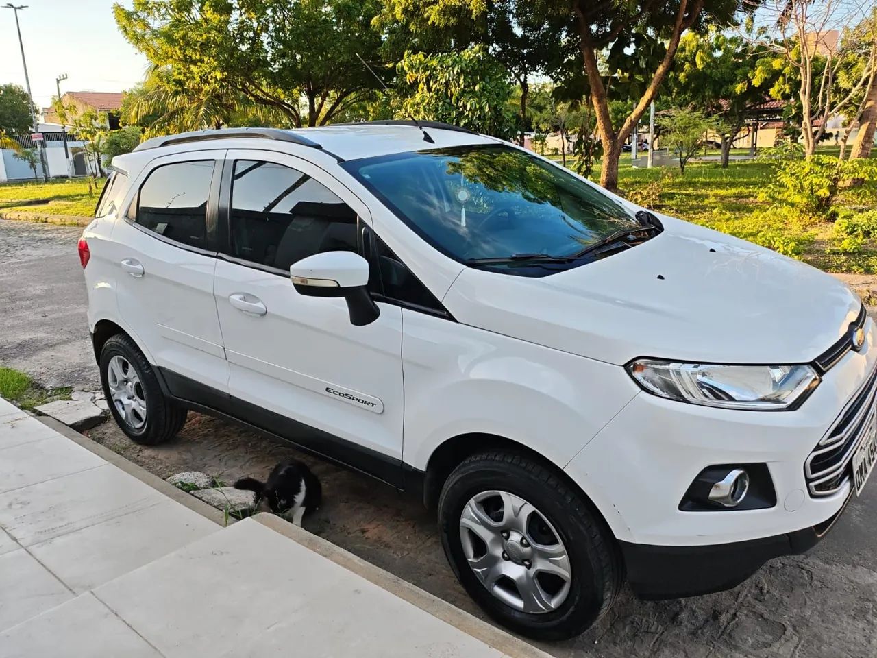 Ford Ecosport EcoSport SE 1.6 16V Flex 5p Aut. 2017
