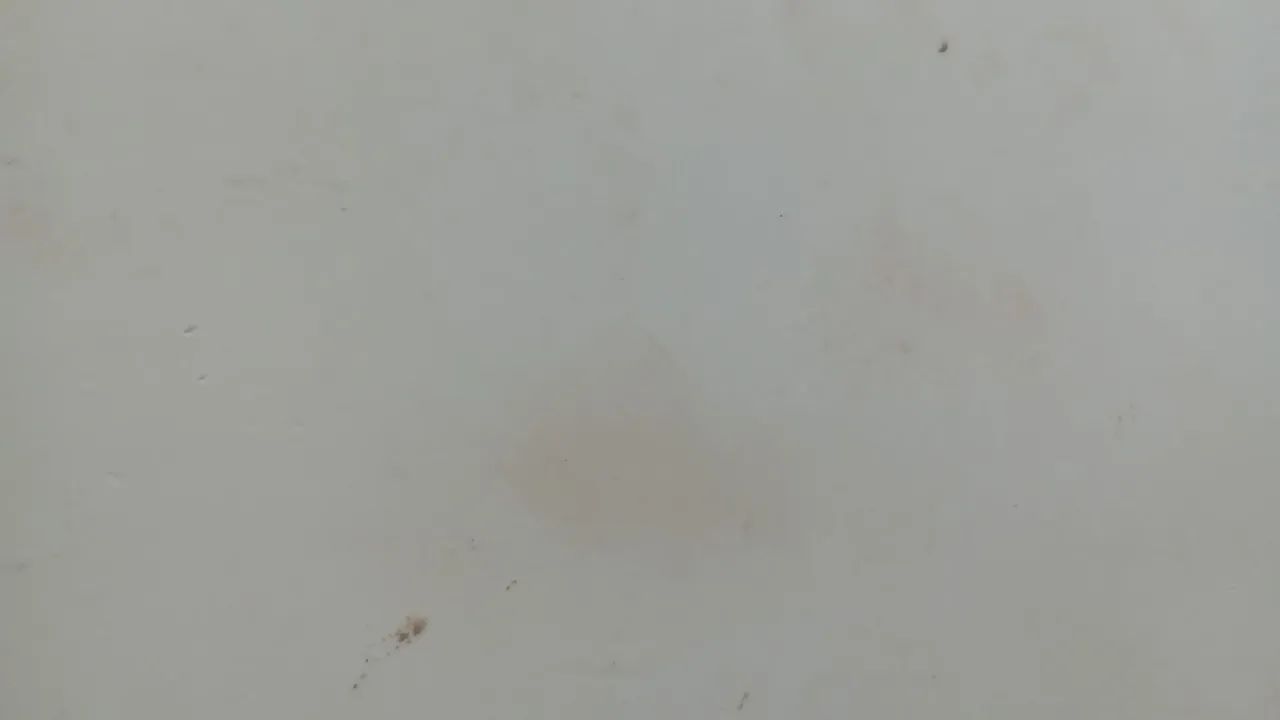 Faxina 