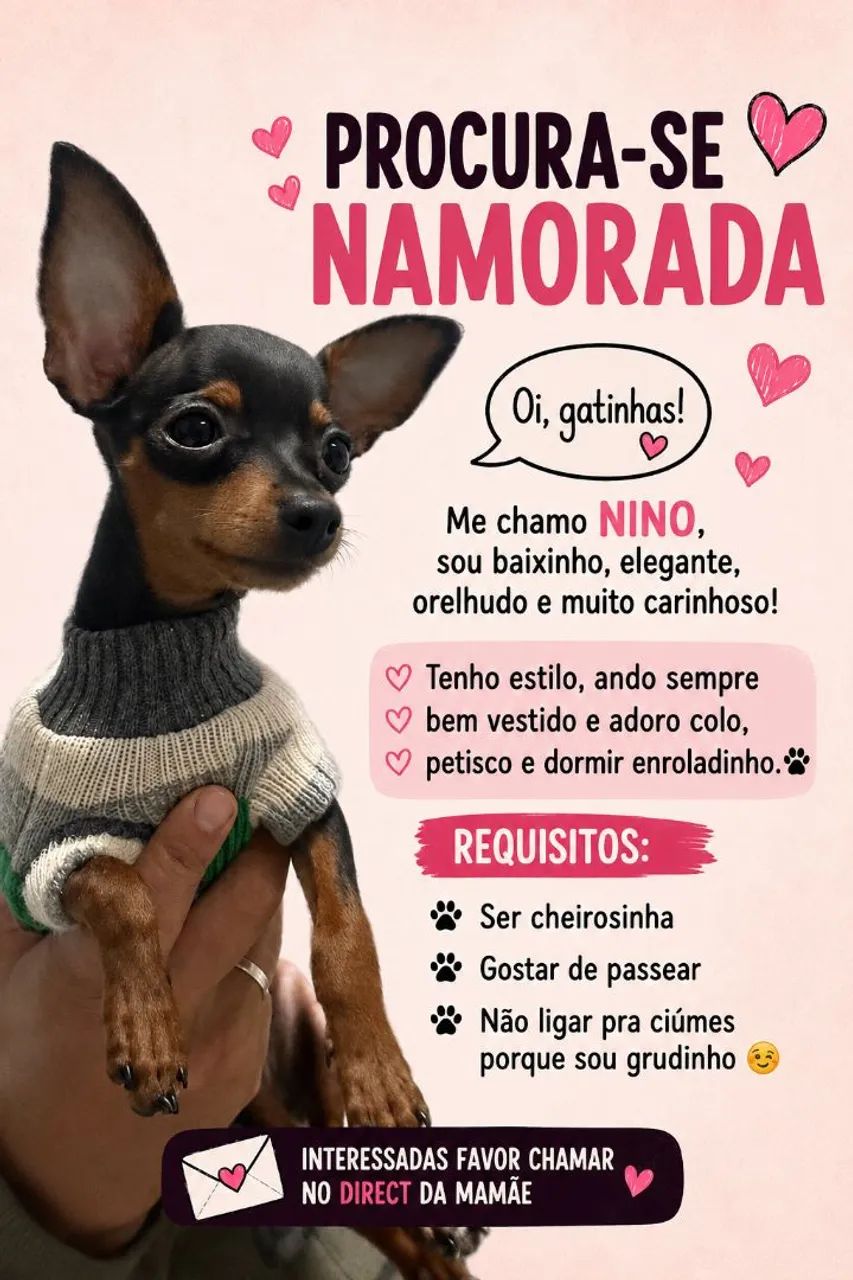 Procura se namorada 