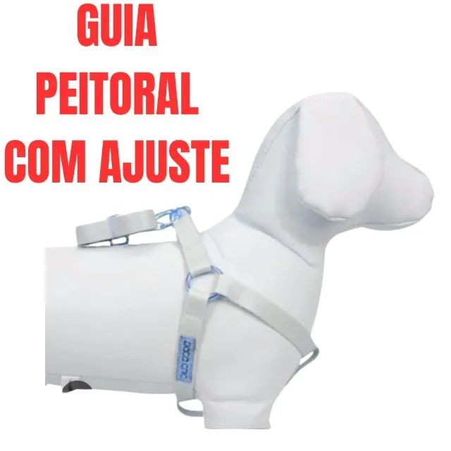 kit para cachorro - Foto 5