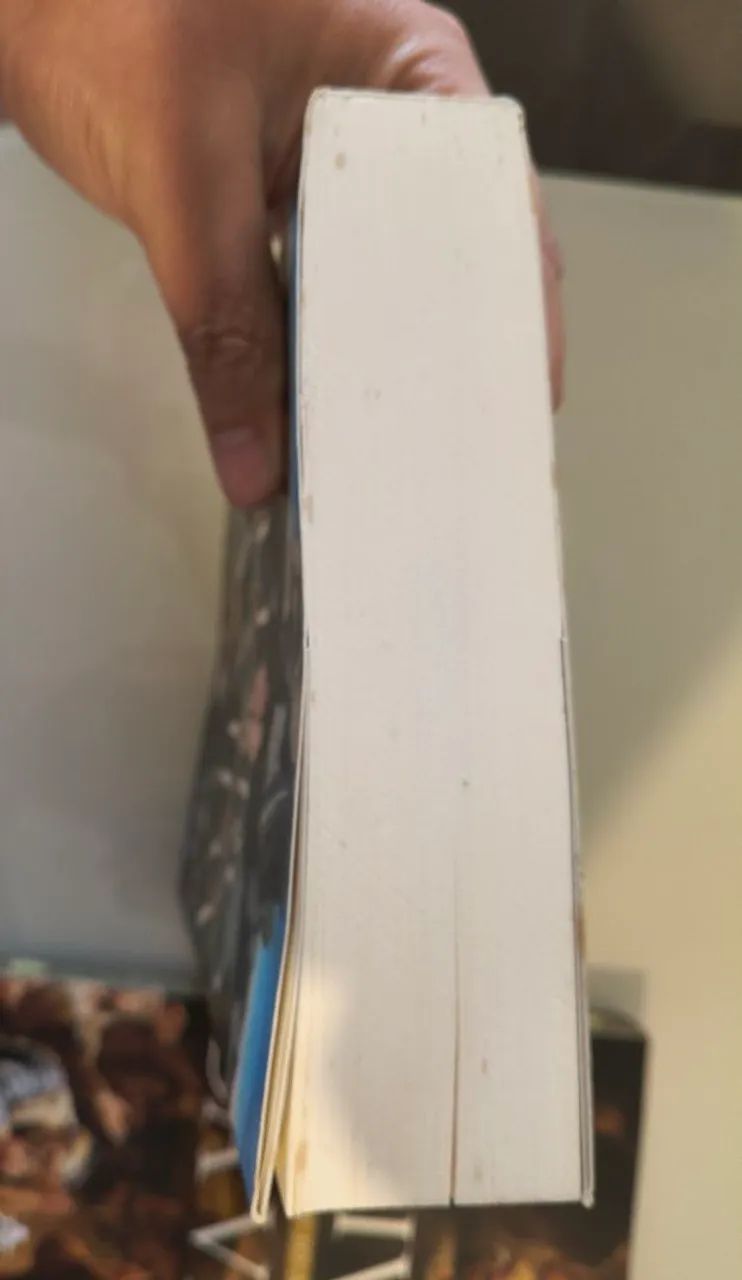 O livro da vida - Foto 3