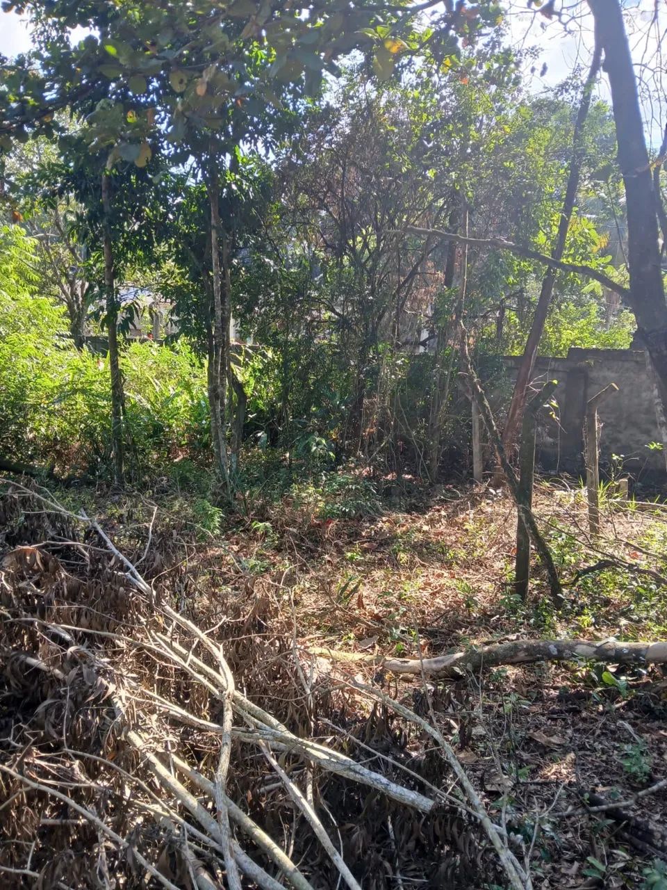 Oportunidade de aquisição de terreno - Foto 4
