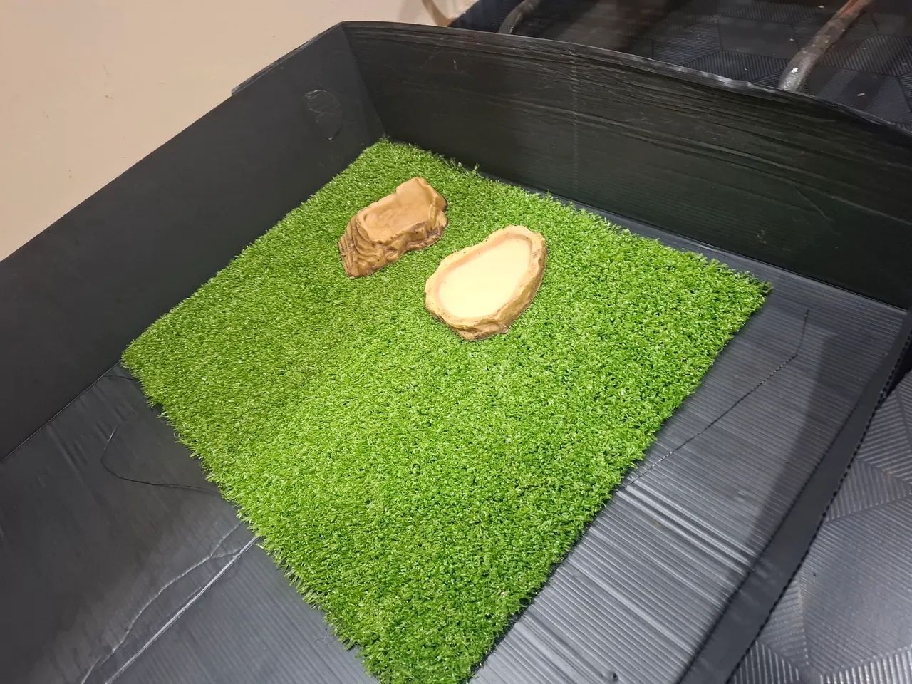 Vendo casa para jabuti  - Foto 2