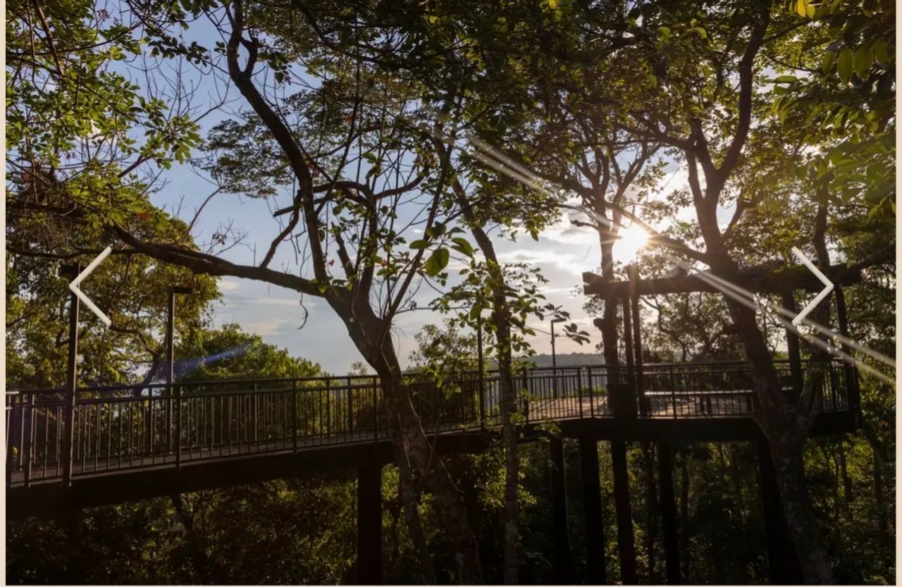 FLORAIS CHAPADA - PREÇO DE OPORTUNIDADE  - Foto 6