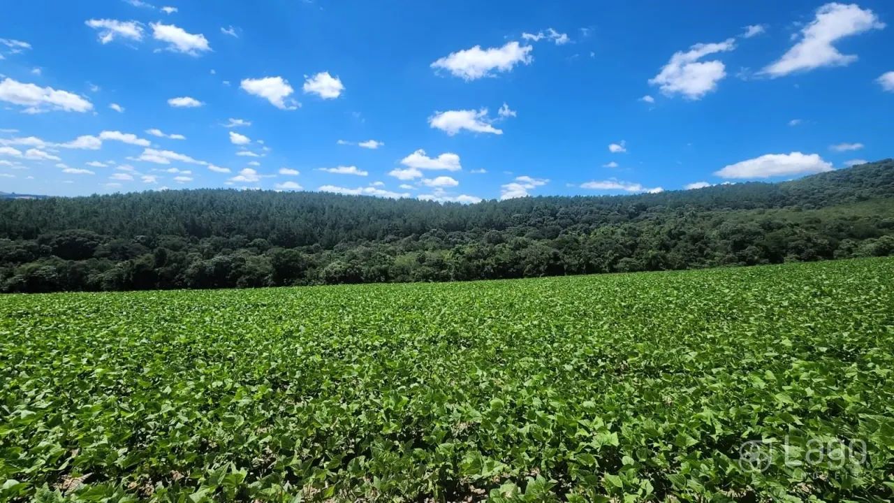 Área Rural Prudentópolis