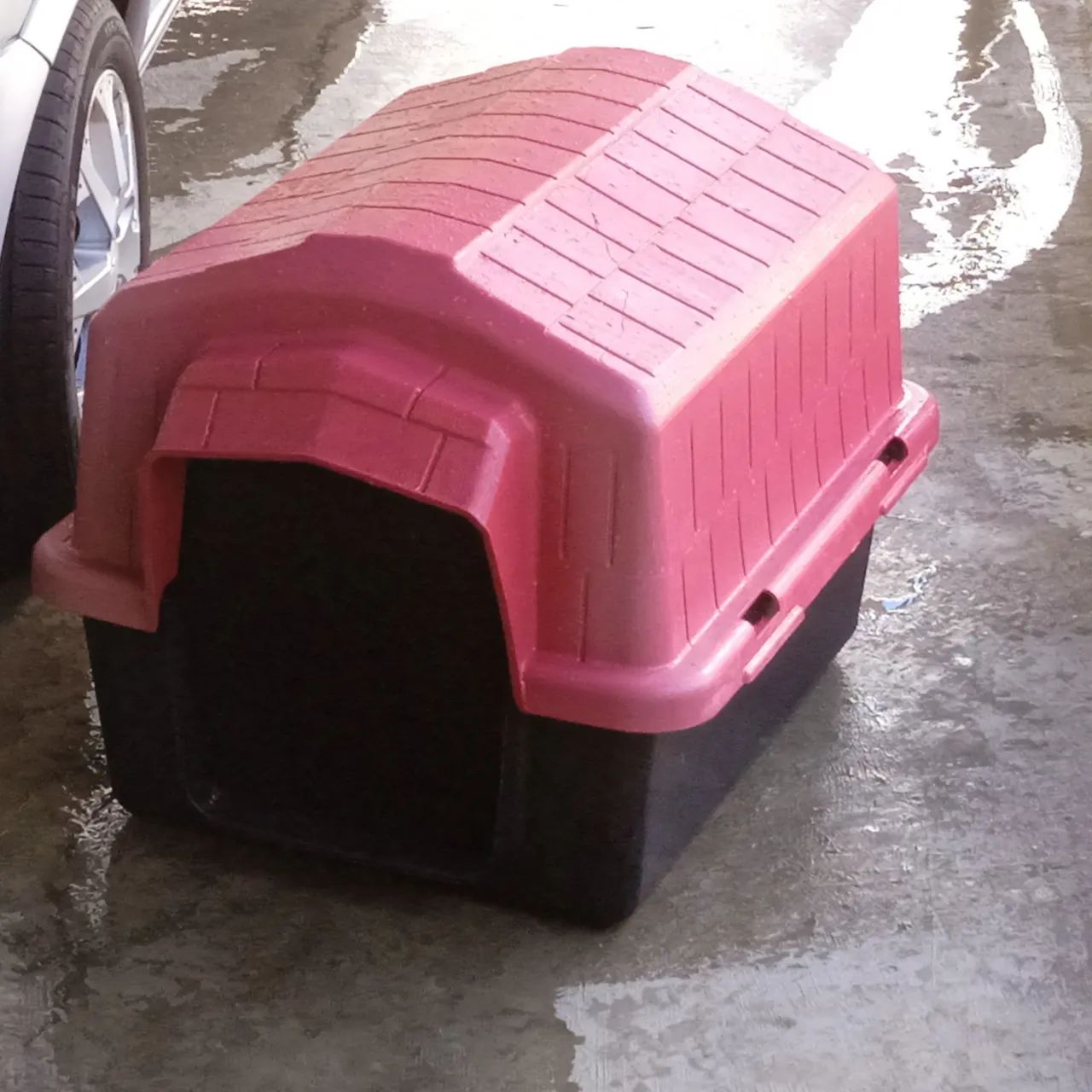 Casinha de cachorro 