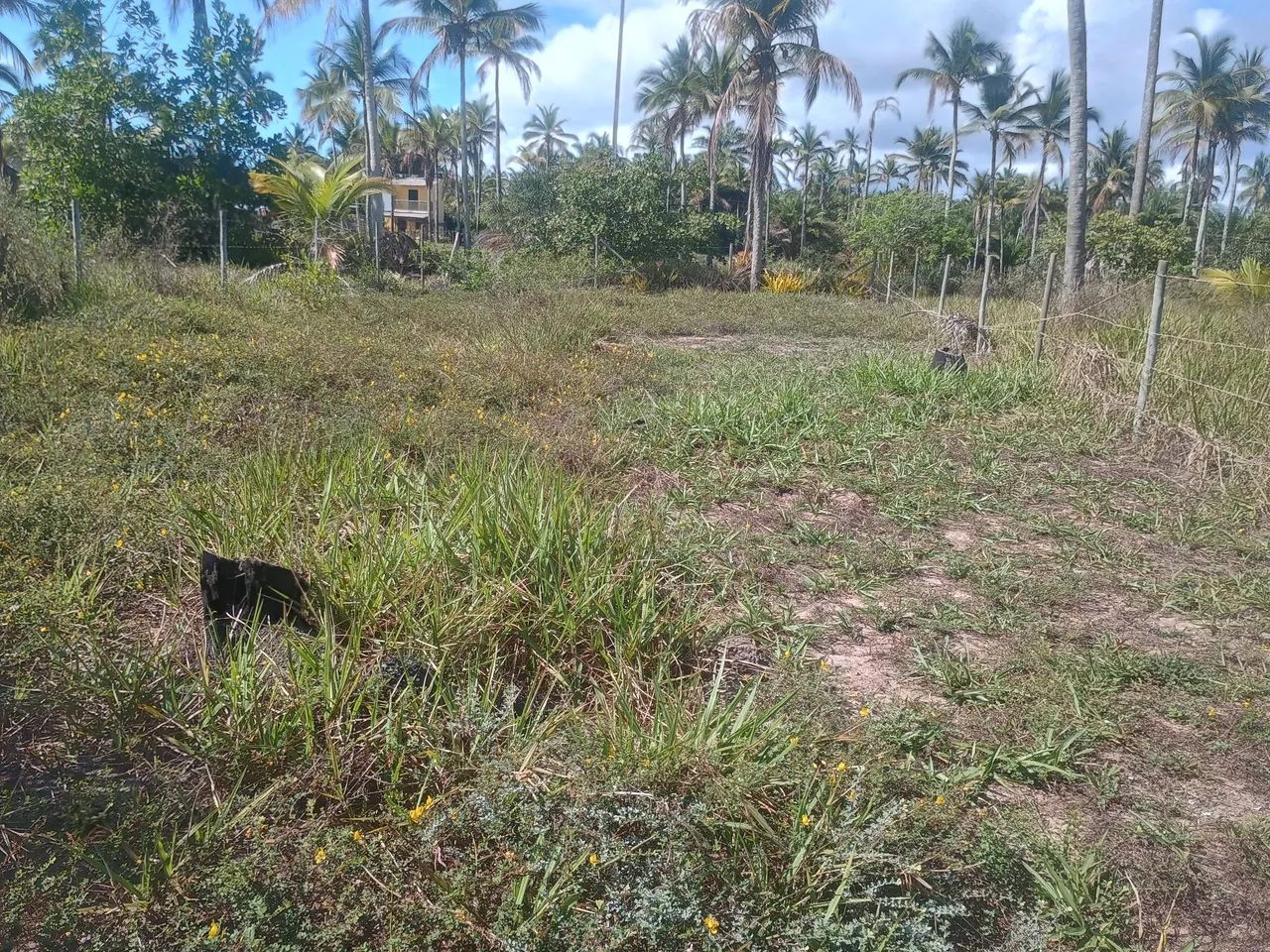 Vendo terreno em canavieiras  - Foto 2