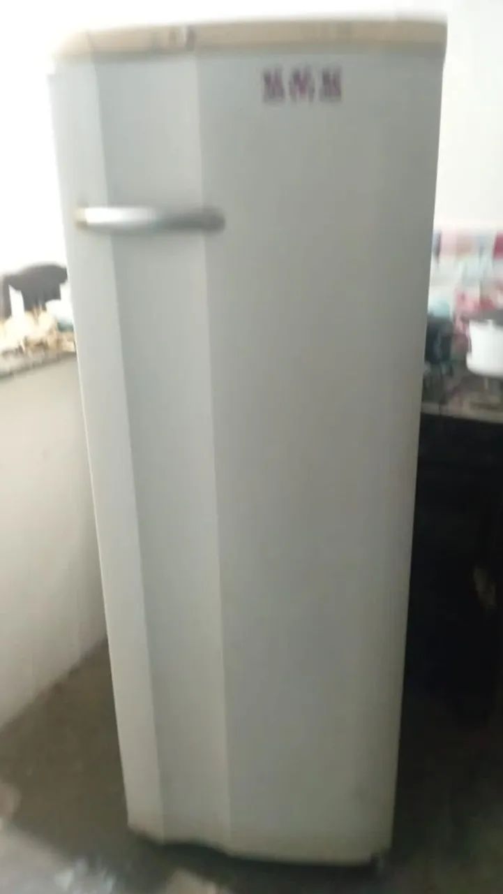 Vendo geladeira 