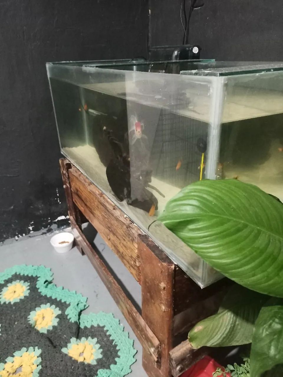 Aquário 152 litros  - Foto 2