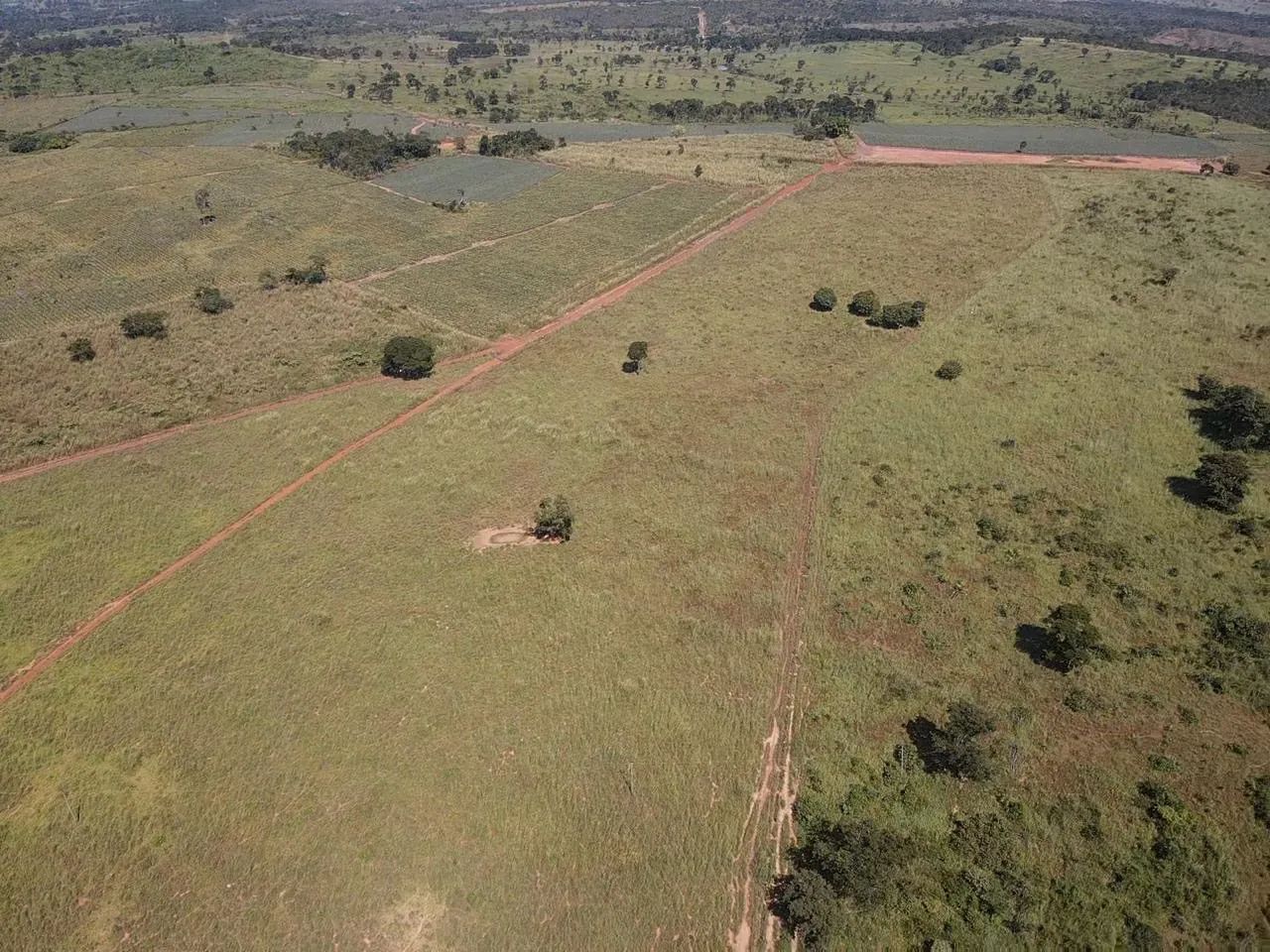 Fazenda - Foto 3