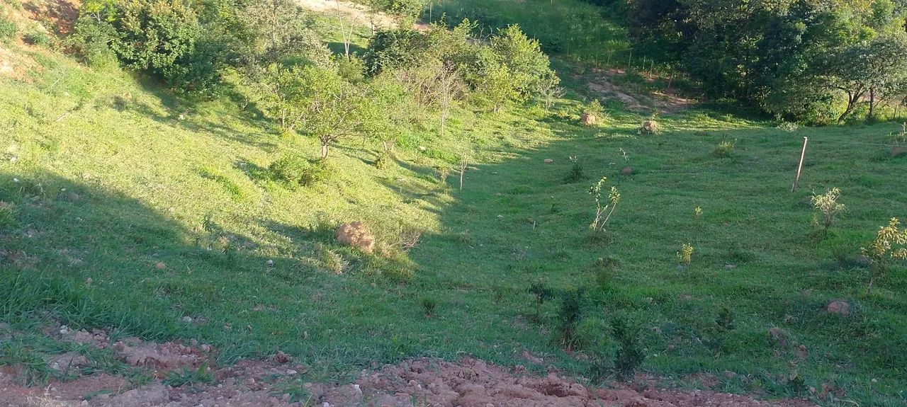 Terreno 1000 - Foto 3