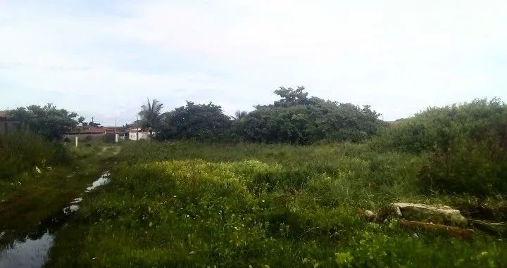 Terreno