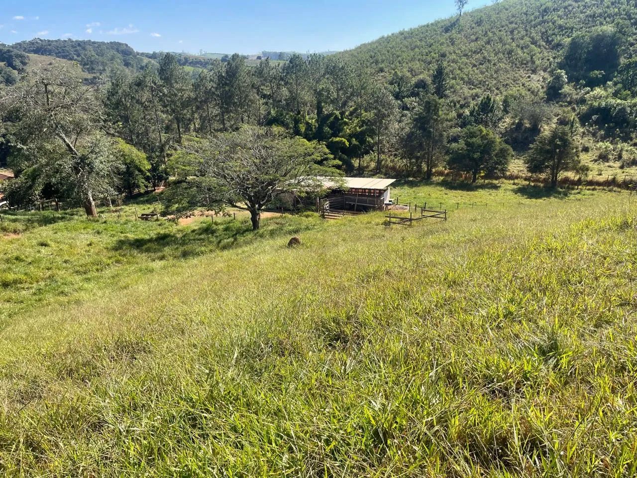 Sítio em São Luíz do Paraitinga