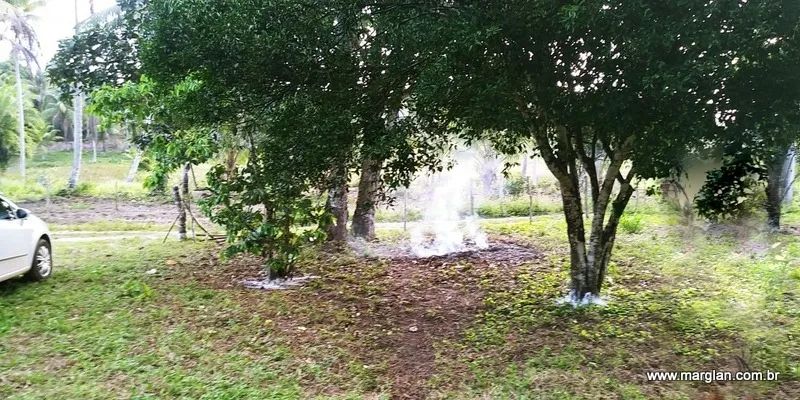 Terreno com 14 tarefas e meia, incluindo casa, área de mata e brejo - Foto 4