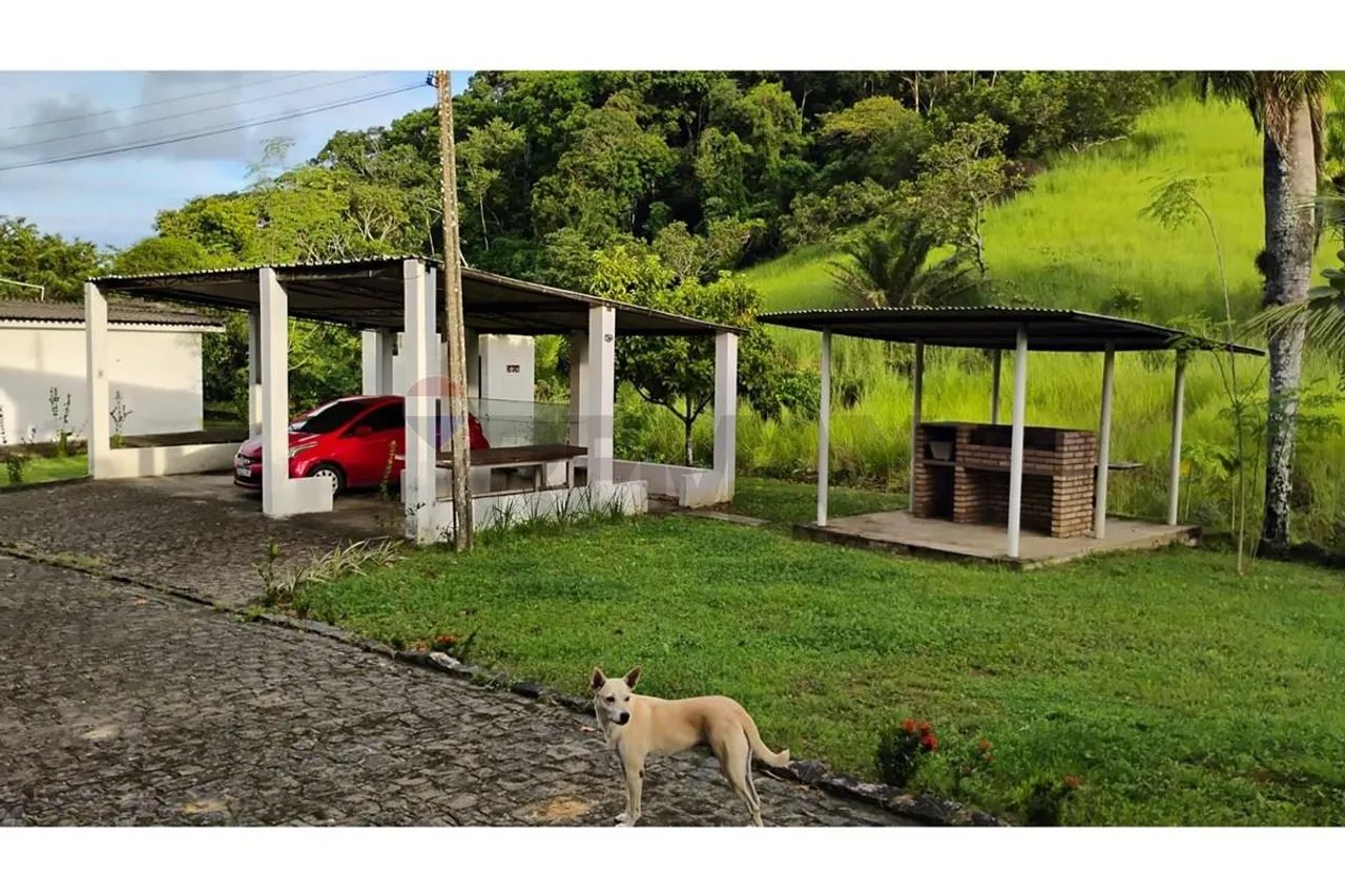 Chácara com 3 casas, excelente ivestimento - Foto 4