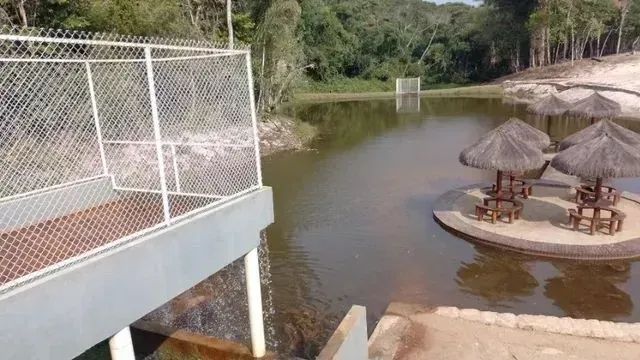 Lotes Exclusivos de repasse- Chácaras Rio Negro - Foto 2