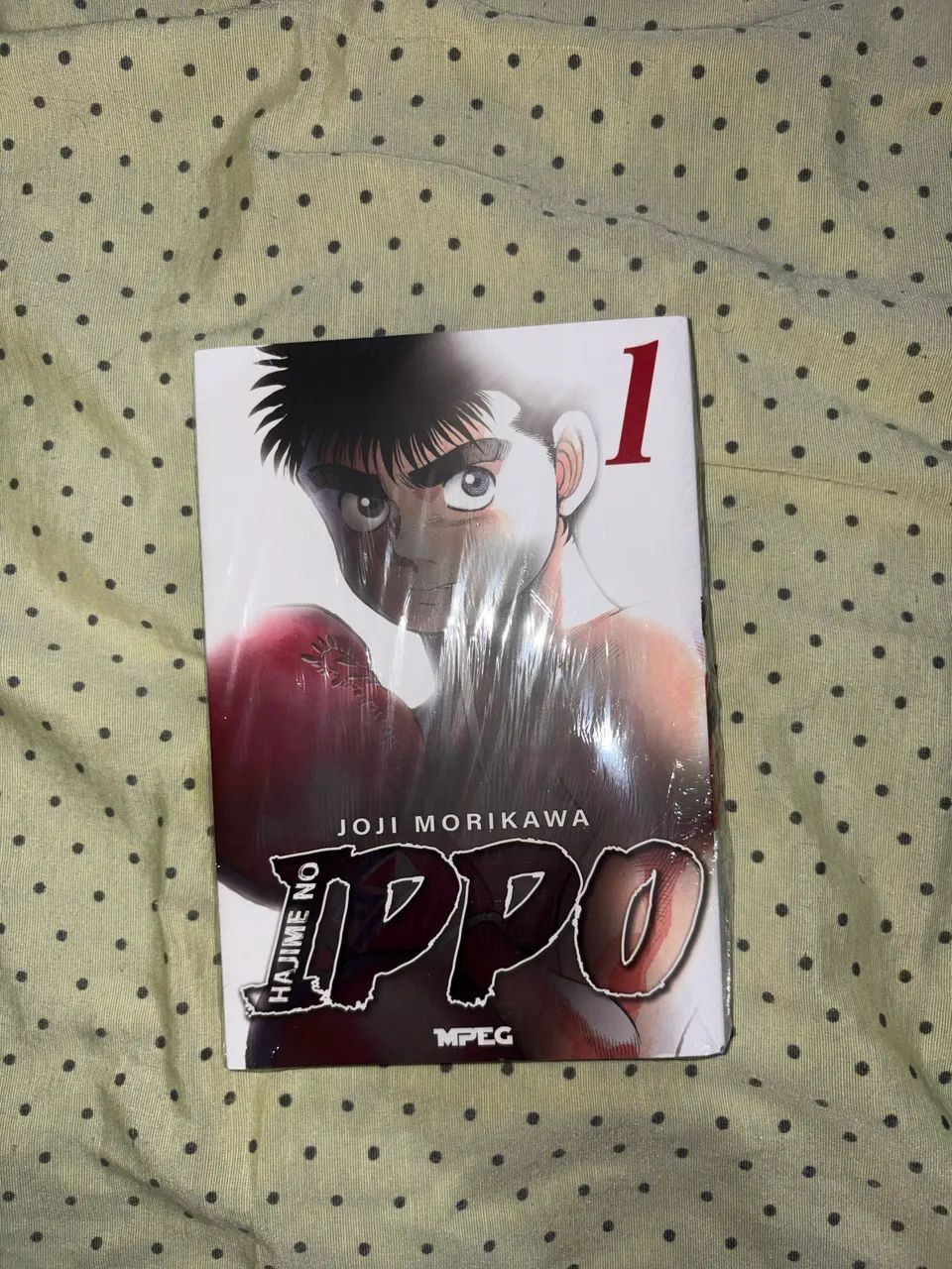 Hajime No Ippo Mangá Volume 1