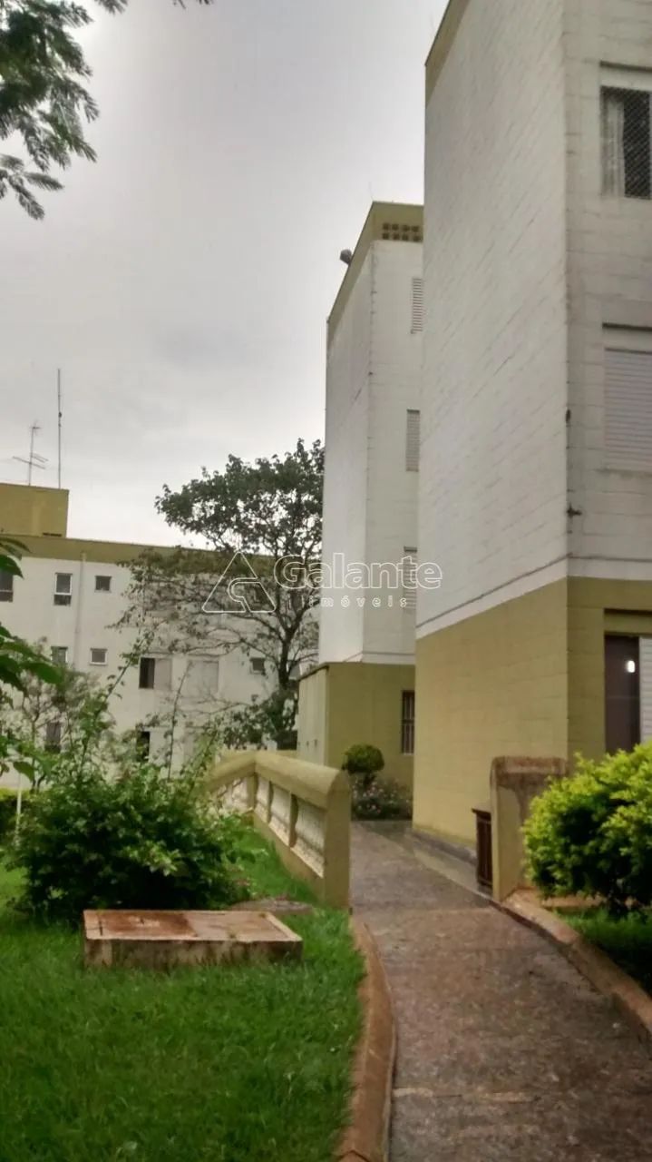 apartamento - Vila Padre Manoel de Nóbrega - Campinas - Foto 2