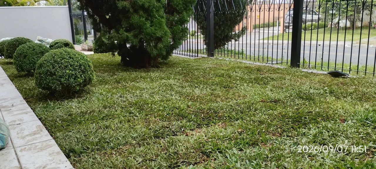 Plantio de grama  - Foto 5