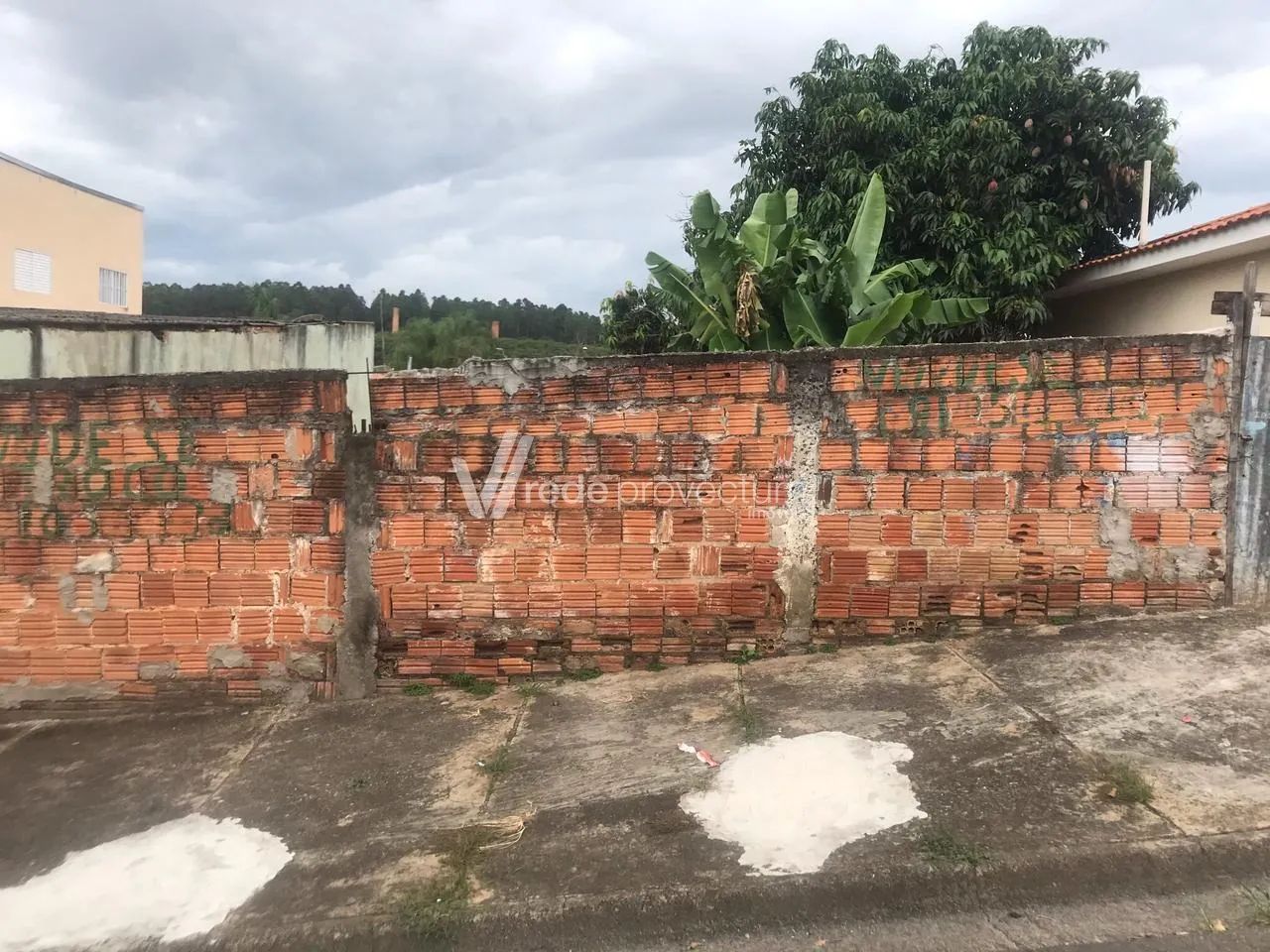terreno - Jardim Florence - Campinas - Foto 4
