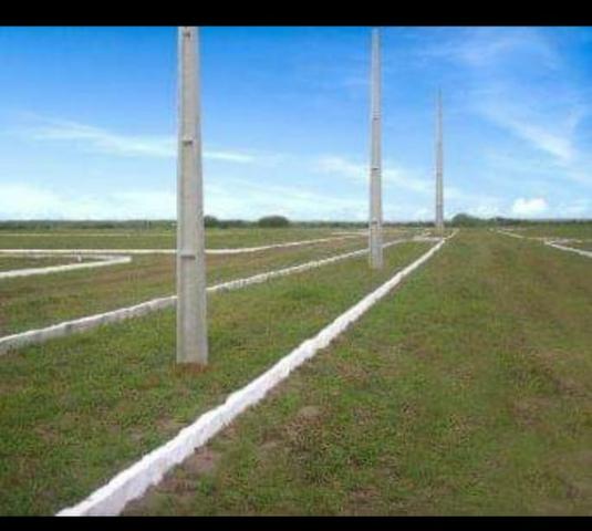 Vendo Terreno em Ceará Mirim- Riachão 1000 metros - Foto 5