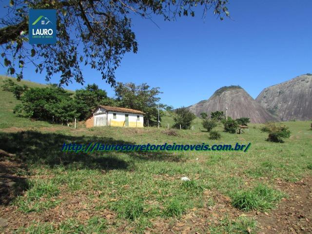 Ataléia Minas Gerais fonte: img.olx.com.br